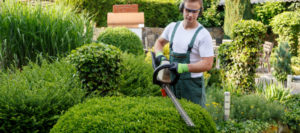 5 Landscape Maintenance Services You Don’t Want to Skip Out On