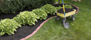 Landscaping versus Lawn Maintenance – What’s the Difference?