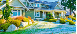 What your Lawn Needs this Winter